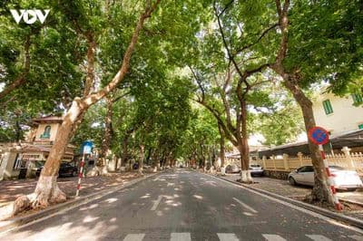 Cần tiền bán rẻ lô đất đường nhựa Thanh hà sát trường Bùi Chát