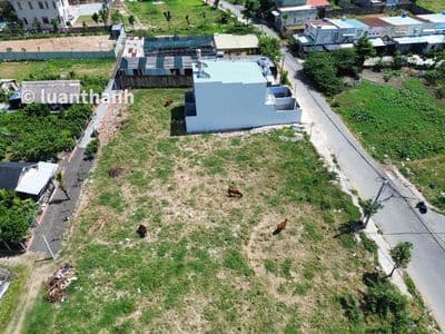 Lô đẹp - giá tốt - sổ thơm mùi mực mới