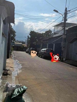 Nhà cho thuê nguyên căn hẻm 96 y nuê