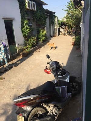 Cho thuê nhà rộng, mát hẻm 980A Nguyễn Duy Trinh