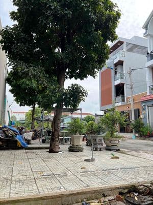 Nhà chính chủ xd kiên cố như hình đã hoàn công chỉ vào ở tặng nội that
