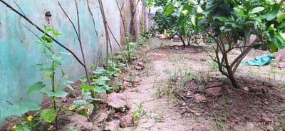 Bán đất tập thể Tam hưng