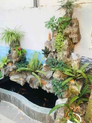 Nhà 1 trệt + lửng mặt tiền phan khoang – 100m² – nhỉnh 6 tỷ