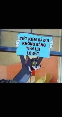 Đất thổ Cư Giáp Q8- Hợp cho đầu Tư lâu dài