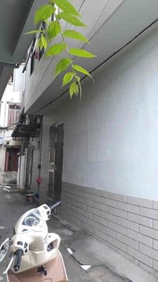 Cho thuê nhà nguyên căn ở Vạn Phúc