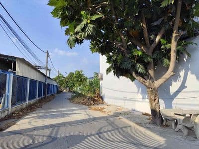 đất thổ sổ rieng 5x31