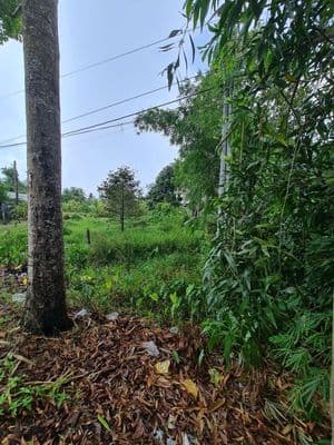 Bán Đất Tân Hòa Cần Thơ