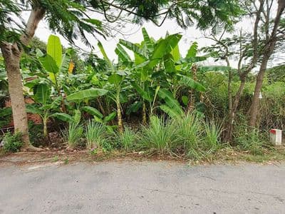 Bán đất MT đường Hóc Hưu, Qui Đức, Bình Chánh. 180m² Đất CLN, 1,4 tỷ