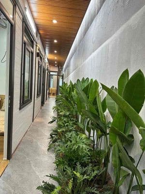 Cho thuê nhà sân vườn khu tân thái, sơn trà đà nẵng