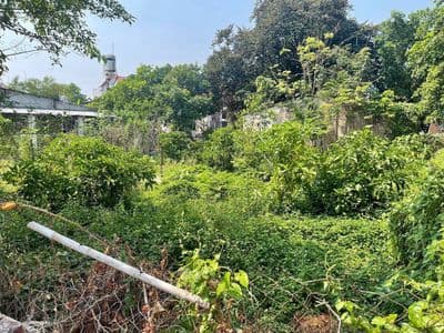 Đất biệt thự ngang 20m 439m2 đại lộ bình dương