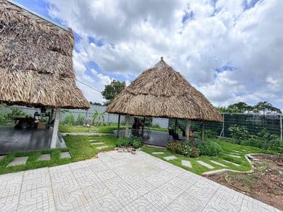 Cho thuê siêu phẩm 1000m2 mặt tiền sông đã thảm nhựa