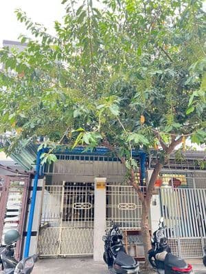 Cho thuê nhà đường: trần khánh dư - 3 phòng - 2wc - 10tr
