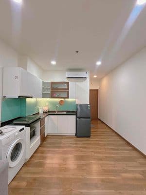 Cho thuê dài hoặc ngắn hạn căn hộ pega 1 - khu trung tâm quận 8