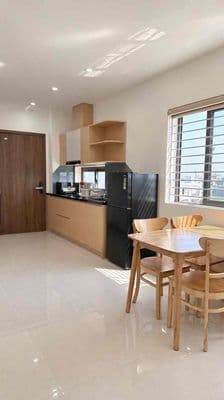 Cho Thuê Căn Hộ New 100% Apartment for rent 1PN 1BR Expat Quiet Place