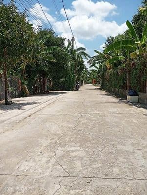 Bán đất Bình Nhâm 30, Lái Thiêu, TP. HCM