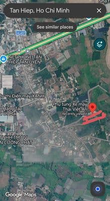 Bán nhà vườn 2.594m² – có nhà 3 gian, hồ bơi, sân vườn – tân hiệp