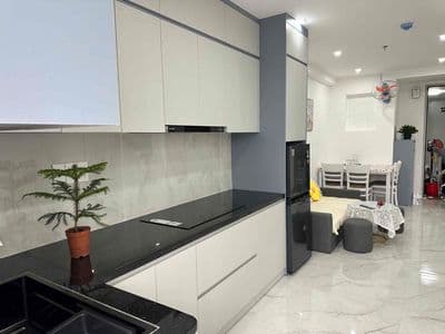 Cho thuê căn hộ 2 phòng ngủ siêu xinh khu vực phường 9 view rừng thông