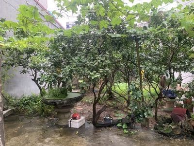 Bán nhà Giang Biên 75m² cách ô tô 25m