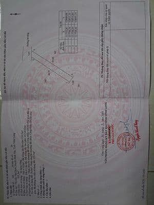 Cần bán đất gần chợ Ngã Cạn, xã Tân Quới, tỉnh Vĩnh Long