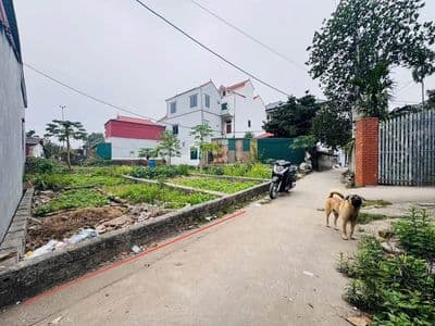 Bán đất đẹp gần Bệnh viện Thanh Oai, 46.7m2, ô tô đậu đất