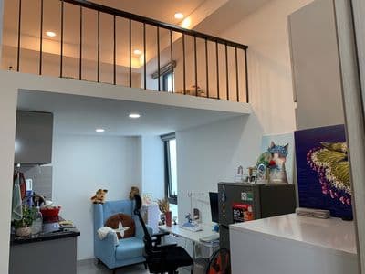 Cho Thuê CHDV Mới Xây - Full Nội Thất - Gác Lửng Rộng - Dọn Vào ở Ngay