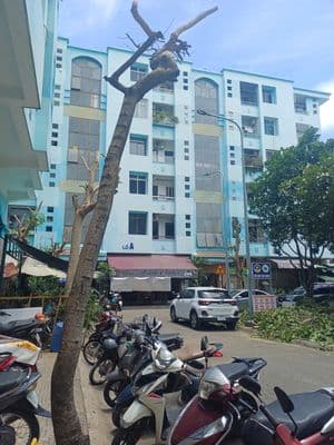 CC 336/24 Nguyễn Văn Luông, P12, Q. 6 DT 56m2, 1PN, 1WC- Căn góc.