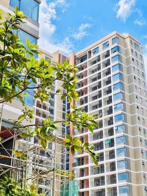 Chính chủ cần bán căn Studio Elysian mặt tiền Lò Lu Thành phố thủ đức