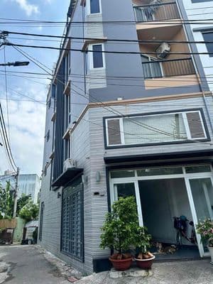 Bán Nhà Huỳnh Tấn Phát, Phú Mỹ Q7
