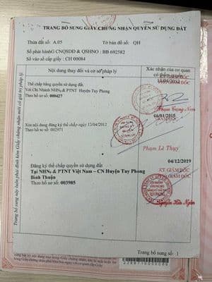Vị trí vàng cho các nhà đầu tư : mặt tiền đắc địa