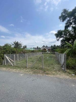 Bán đất gần thị trấn Chợ Gạo