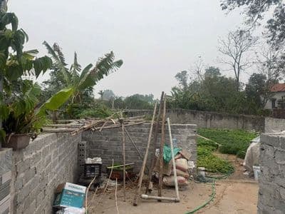 Bán đất Thường Tín - 43.5m2 - Nở hậu