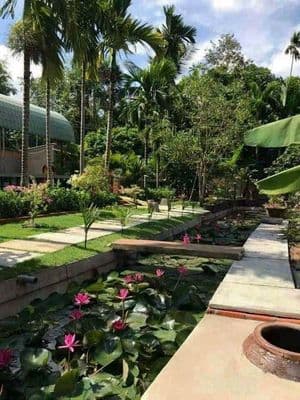 Bán nhà vườn 903m2 Phường Tân An, TDM, Bình Dương