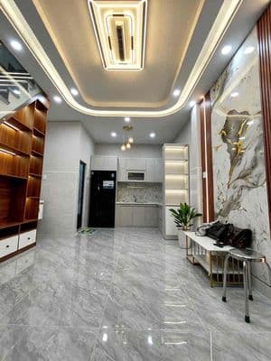 Nhà mới 4.2x7m 1 trệt 1 lầu 2PN 2WC hẻm Lê Ngã - Tân Phú - Giá 4.95 ty