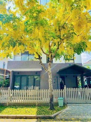 Cho thuê dự án Khang Điền ngay Global city giá 25tr/tháng
