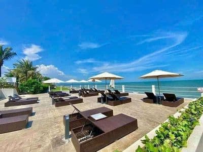 Cho thuê penhouse aria sát biển full nội thất cao cấp view biển
