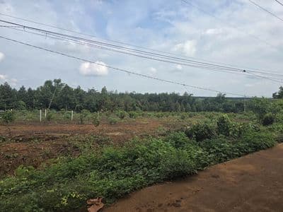 Đất nền thổ cư khu phố 2, Chơn Thành giá 1.5 tỷ, diện tích 197.7m²