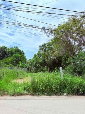 Bán đất Bồ Mưng 1 sát quốc lộ 1A Điện Thắng Bắc ( cũ ) Đà Nẵng giá rẻ