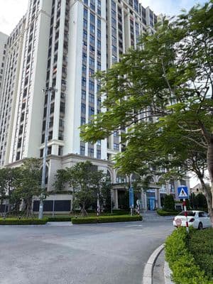 Cho thuê chung cư 2 ngủ mới sạch sẽ giá tốt, ưu tiên thuê lâu dài