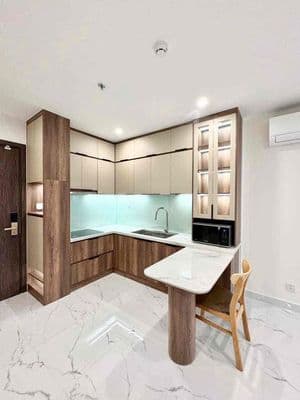Cho thuê - 1pn+ Full NT cao cấp