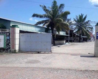 xưởng cho thuê giá quá hạt dẻ 220tr 4000m