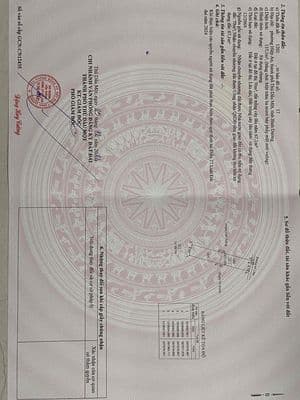 đất chính chủ cần bán