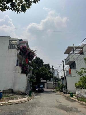 ĐẤT ĐS12 TAM ĐA 55m2 Đường 8m vỉa hè chỉ 2.95 tỷ