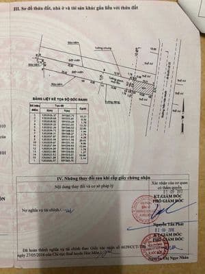 Cho thuê đất mặt tiền Trần Văn Mười, Hóc Môn
