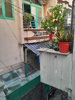 cho thuê nhà nguyên căn