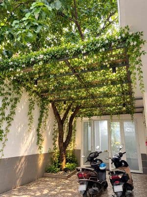 Cho thuê biệt thự sân vườn nguyễn văn trỗi – ngang 12m – giá 59tr/th