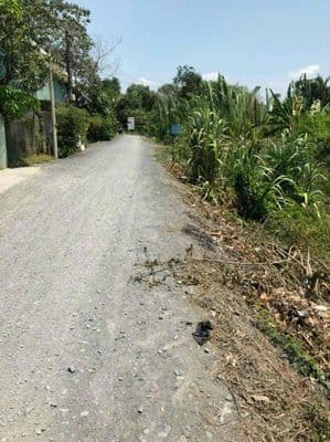 Đất phong phú – 115m² – giá 1,8 tỷ
