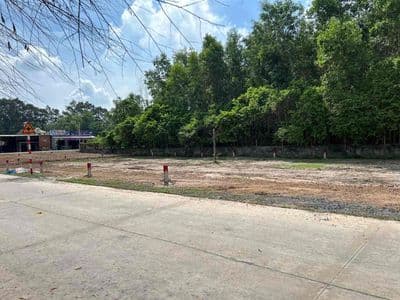 Đất thổ cư mặt tiền đường 12m giá 1t