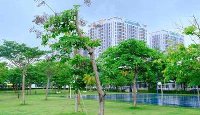 Cho thuê nhà phạm thế hiển ngay cầu nv cừ giá 5tr