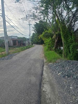 GIÁ NGỘP MT Huỳnh Thị Dần, Bình Mỹ, Củ Chi 2.1 tỷ/136.2m2 full thổ