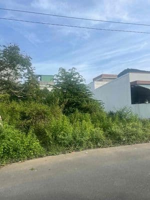 Đất tái định cư phường Hoà Khánh